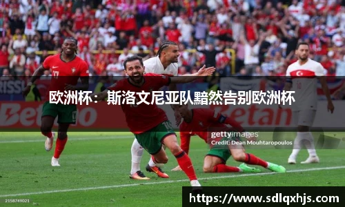 欧洲杯：斯洛文尼亚队黯然告别欧洲杯